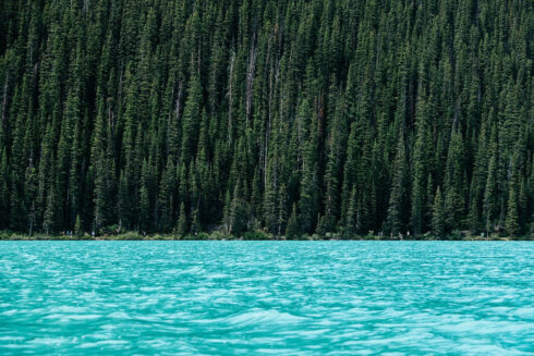 Maderas Barceló - Galería de Fotos