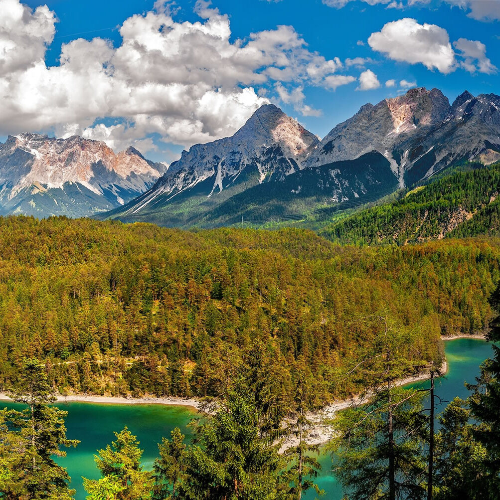Maderas Barceló - Galería de Fotos