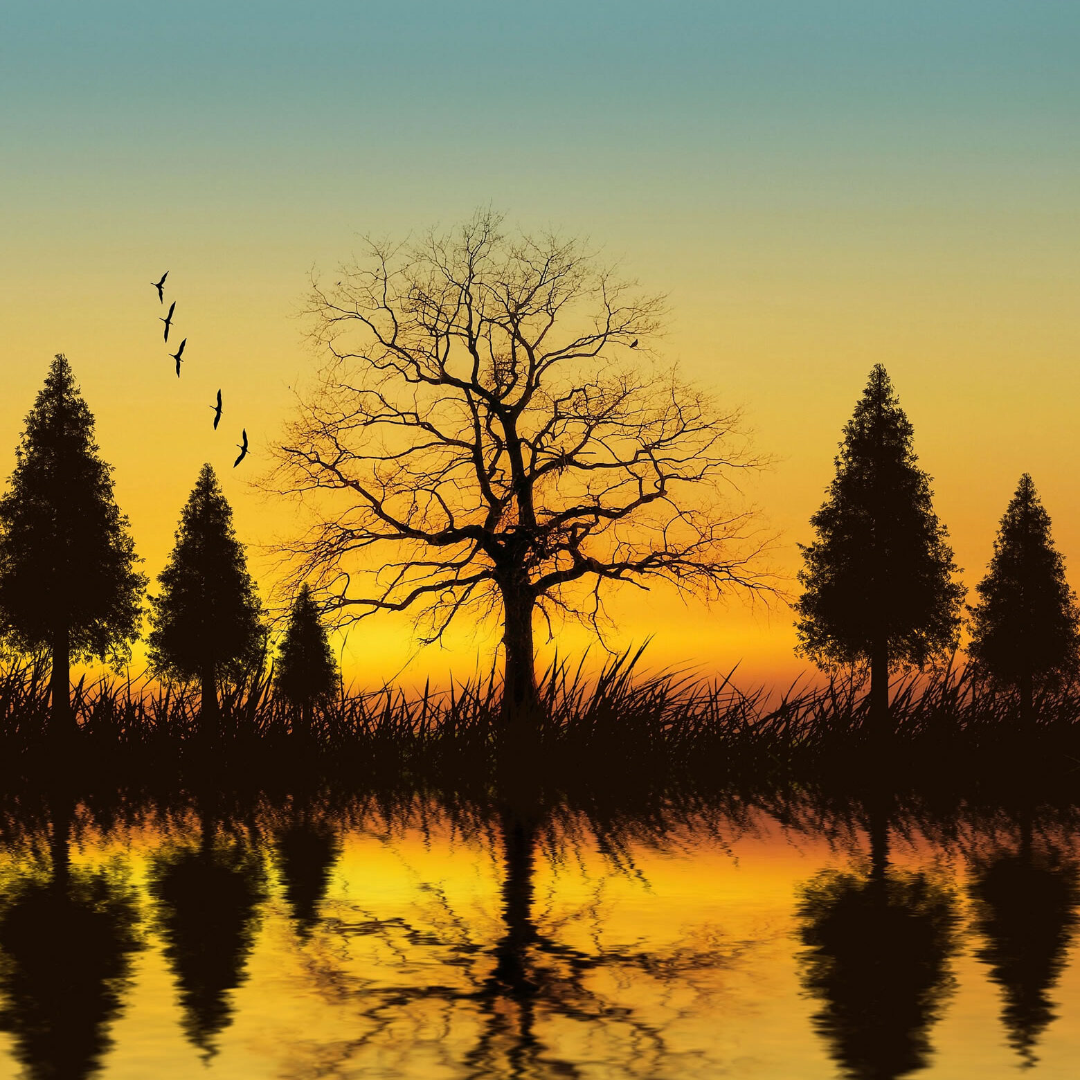 Maderas Barceló - Galería de Fotos