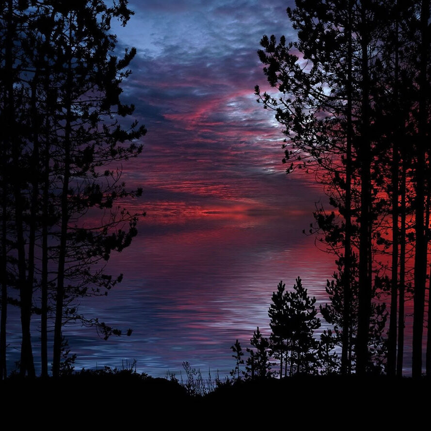 Maderas Barceló - Galería de Fotos