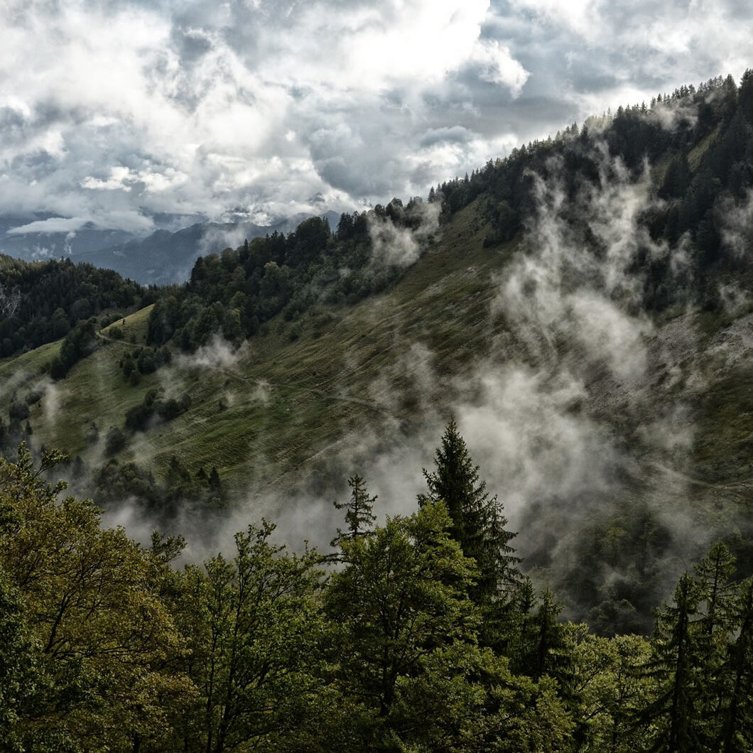 Maderas Barceló - Galería de Fotos