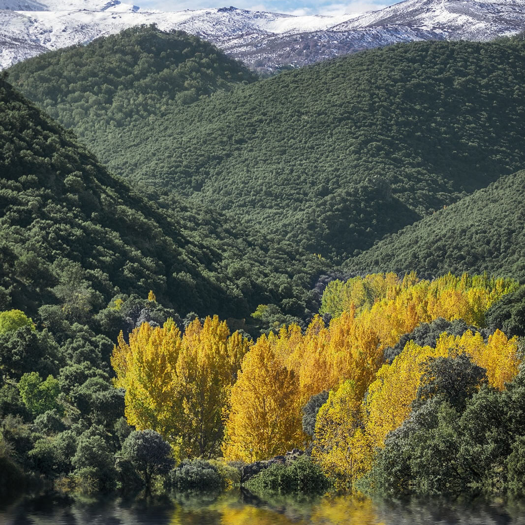 Maderas Barceló - Galería de Fotos