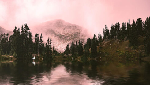 Maderas Barceló - Galería de Fotos