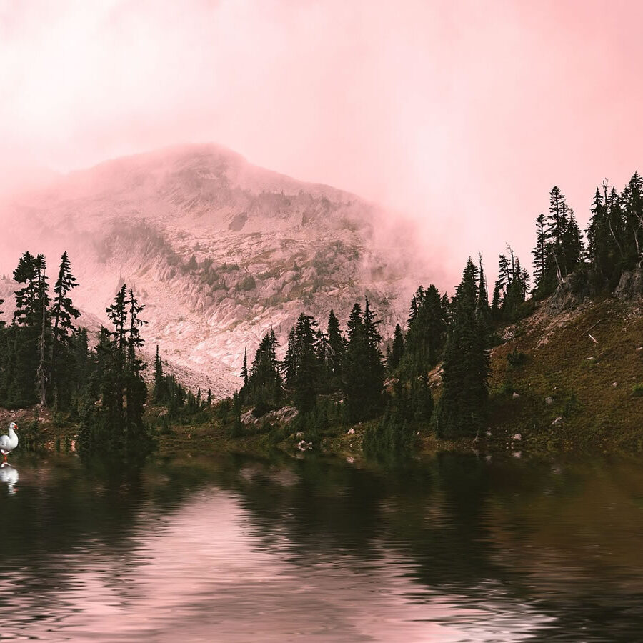 Maderas Barceló - Galería de Fotos