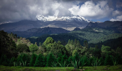 Maderas Barceló - Galería de Fotos