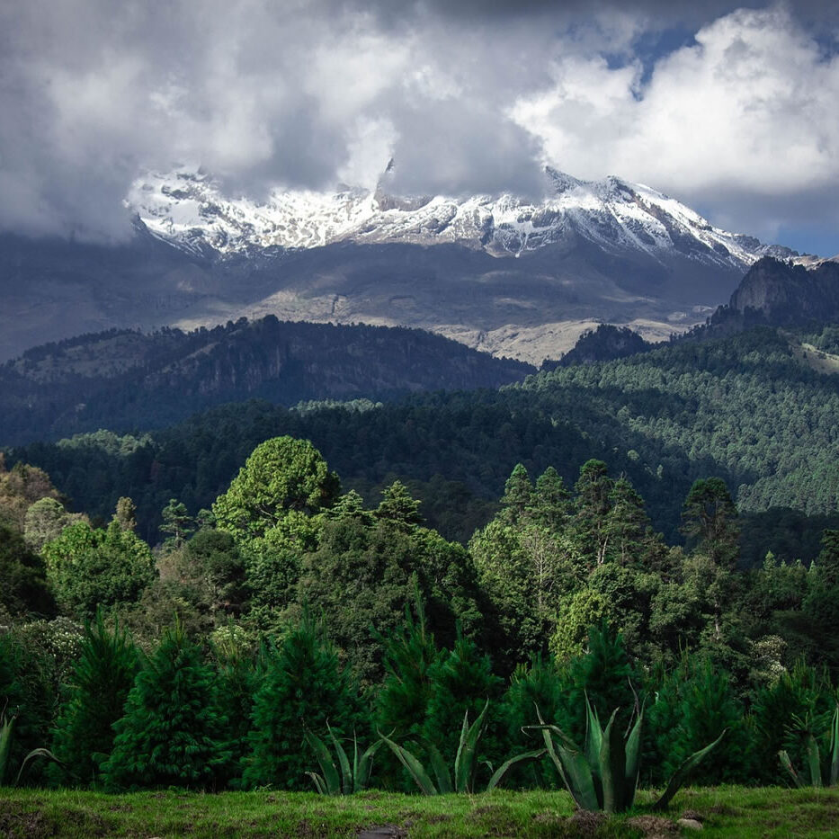 Maderas Barceló - Galería de Fotos
