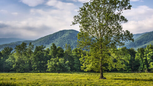 Maderas Barceló - Galería de Fotos