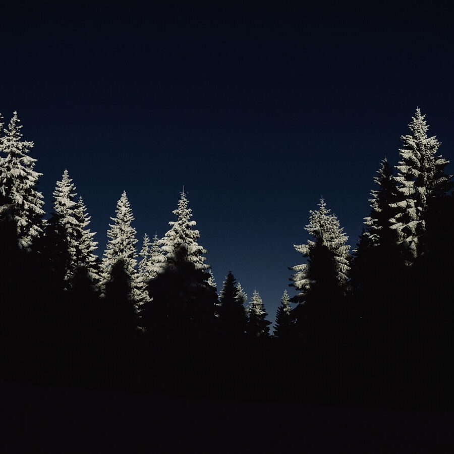 Maderas Barceló - Galería de Fotos