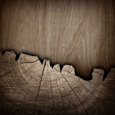 Maderas Barceló - Galería de Fotos