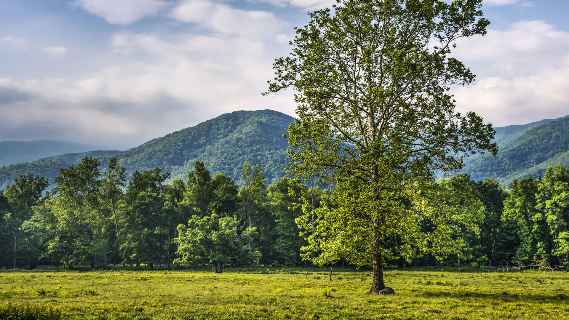 Maderas Barceló - Slider Galería de Fotos